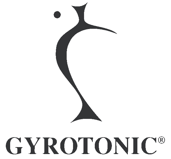 2017 Logo-PNG-Transparent-Backround